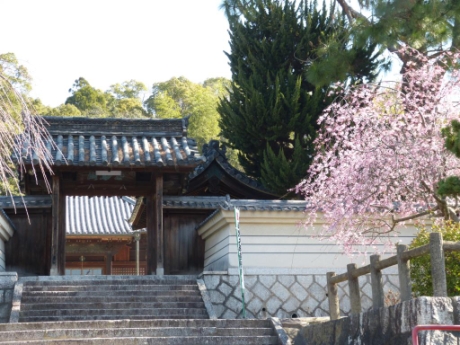 画像12
